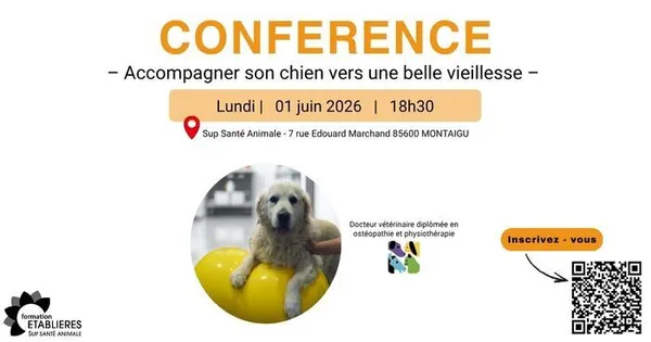 Conférence - Accompagner son chien vers une belle vieillesse