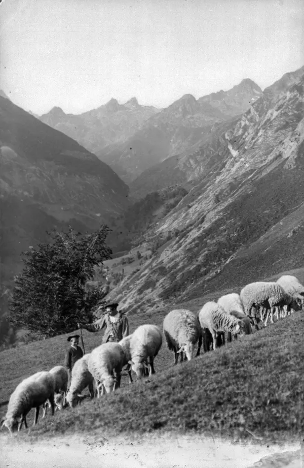 « MÉMOIRES DE TRANSHUMANCE » - projection commentée [Archives St-Gaudens]