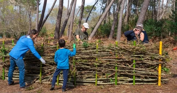 Atelier nature : fabrication d'une haie sèche