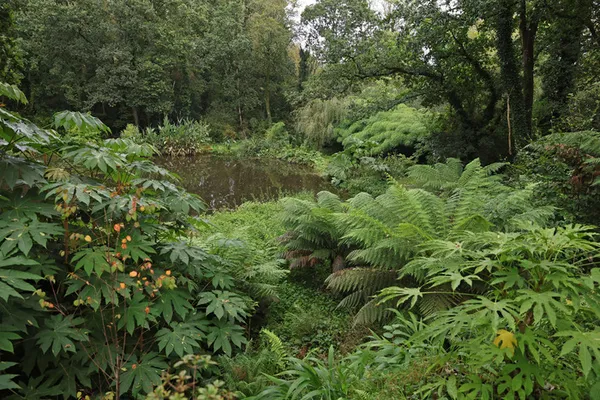 Rendez-vous à la Vallée des Bambous