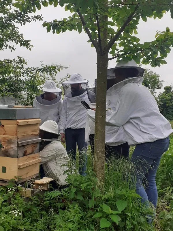 Visite du rucher + dégustation de nos produits