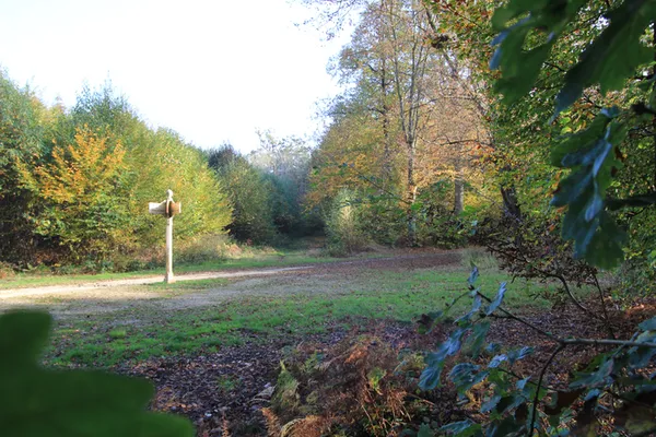 Découverte, en randonnée, de la forêt régionale de Ferrières, de son histoire et de sa gestion