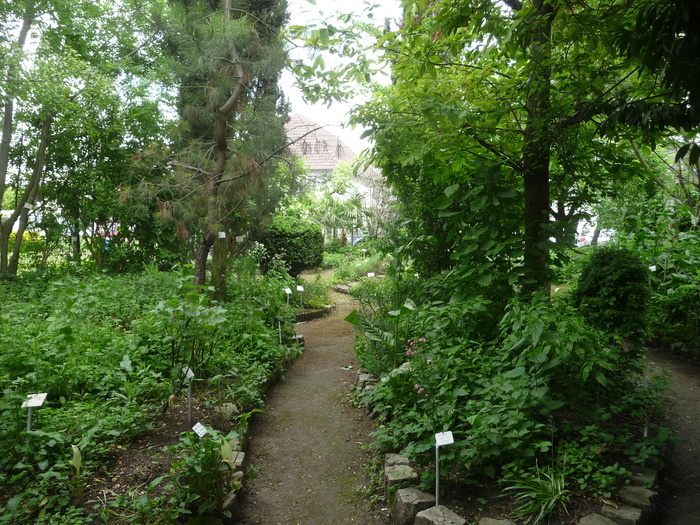 Jardin Botanique de Sannois