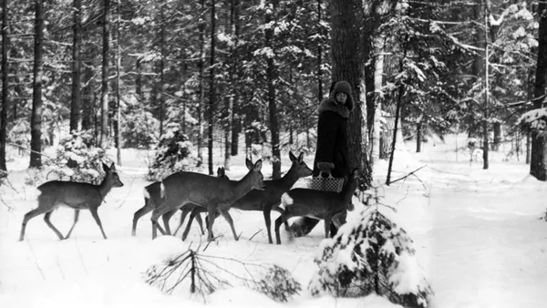 Białowieża, La forêt vivante de Lech & Simona