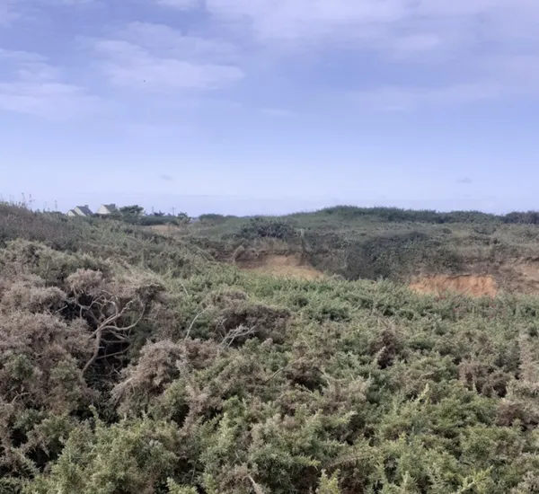 Les landes de Pen Bé