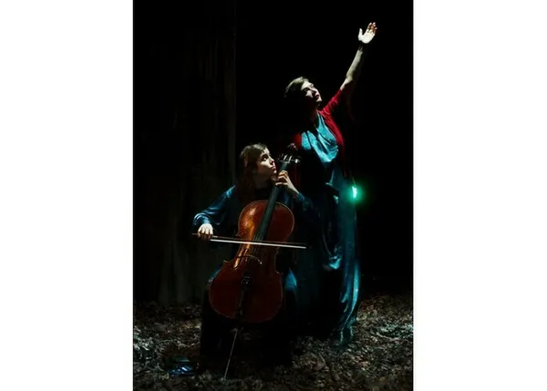 Birds On a Wire - Rosemary Standley & Dom la Nena