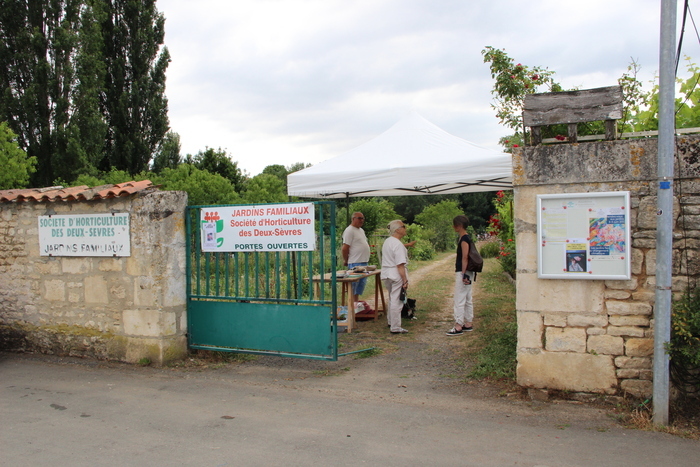 Visite des jardins familiaux de la Société d'horticulture des Deux-sèvres