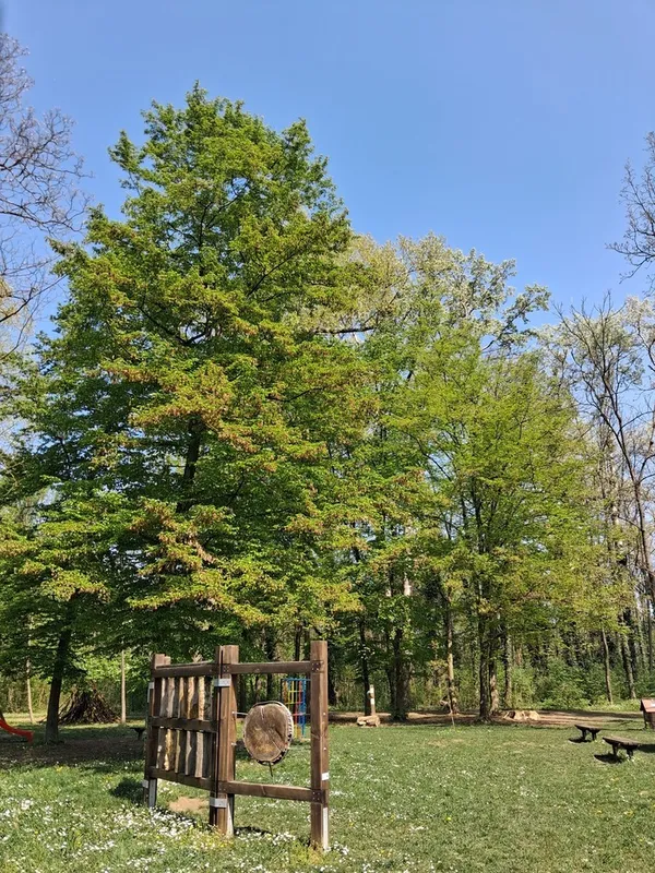 Le sens de la vue dans le parc forestier de la Drave