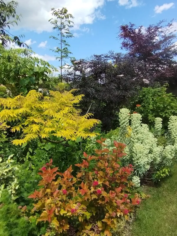 Visite du Jardin des quatre saisons