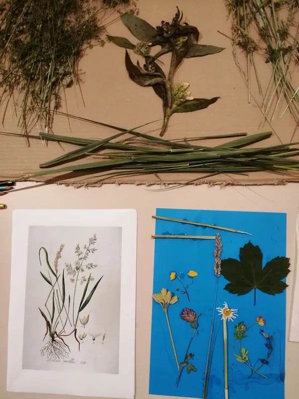 Herbier en fleurs