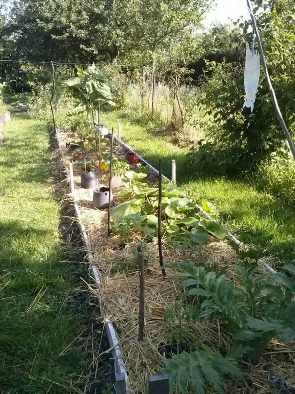 Visite du jardin de Natur'Pom