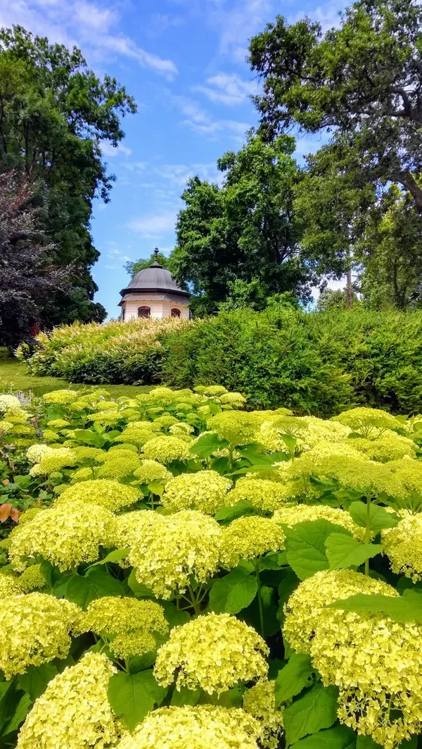 Promenade guidée dans le parc