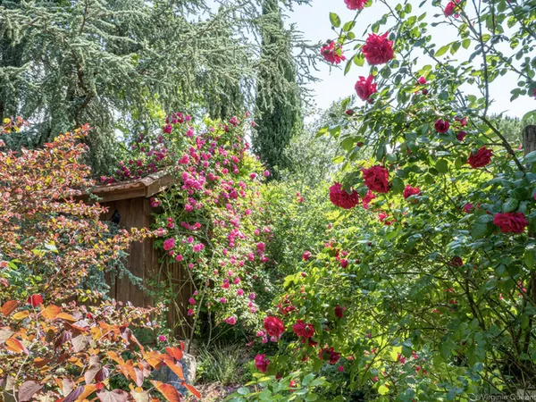 Visite du Jardin de Boissonna