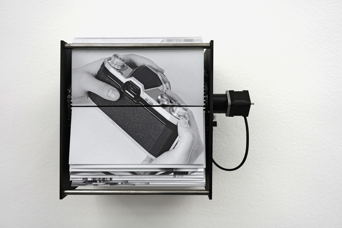 Exposition monographique d'Isabelle Le Minh,  A Rose is a Rose is the Last Rose of Summer