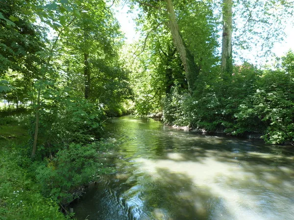 Visite libre : les peintres prennent possession du parc environnemental Fréderic Passy