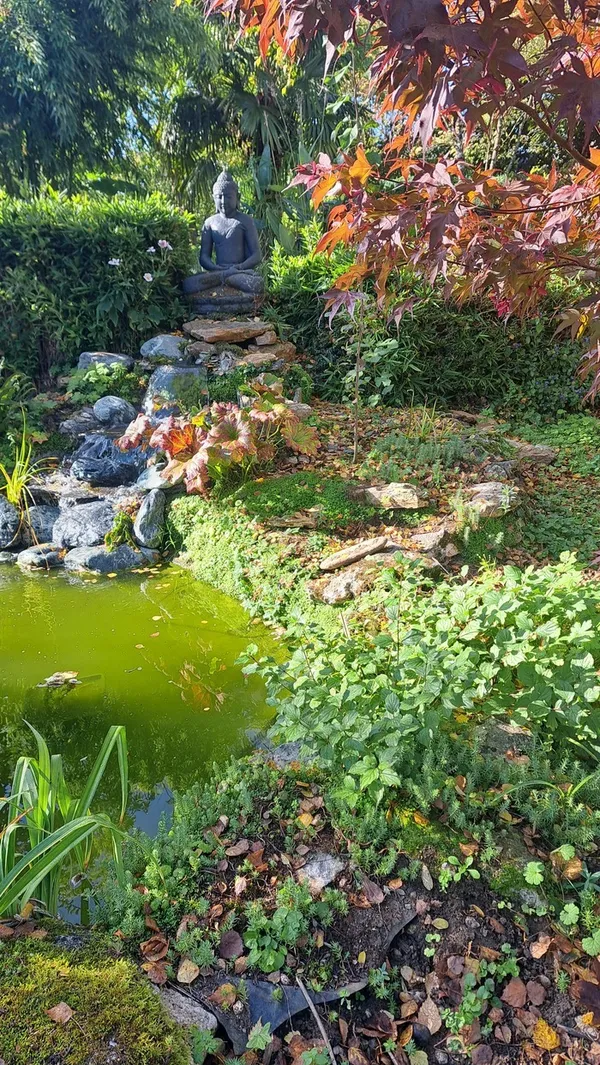 Visite découverte du jardin de l'été Indien