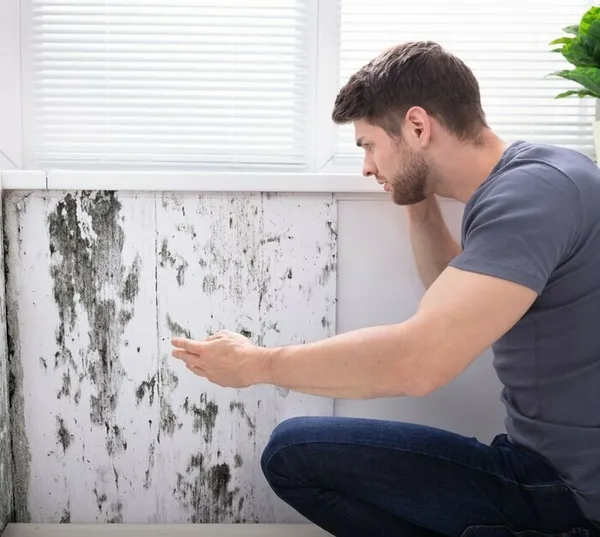Votre logement est insalubre ?