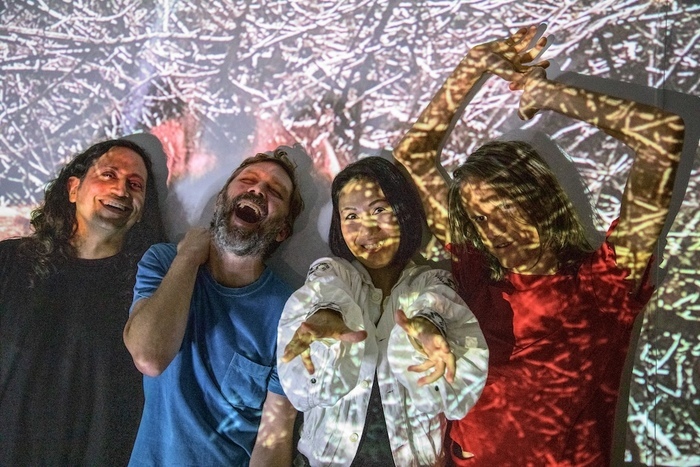 Deerhoof en concert