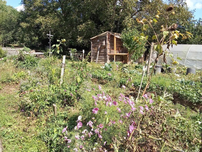 Visite découverte du jardin