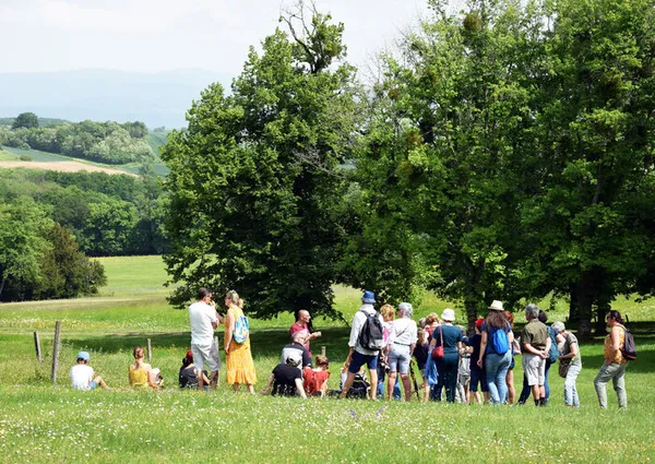 Un après-midi au jardin du domaine royal de Randan