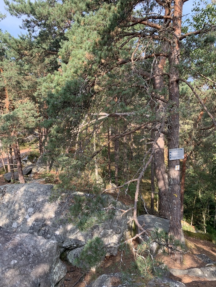 Rando journée
