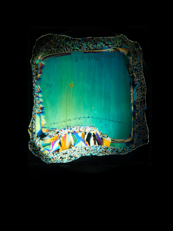 L’Âge des glaces. Regards croisés entre Aimé Civiale et six photographes contemporains