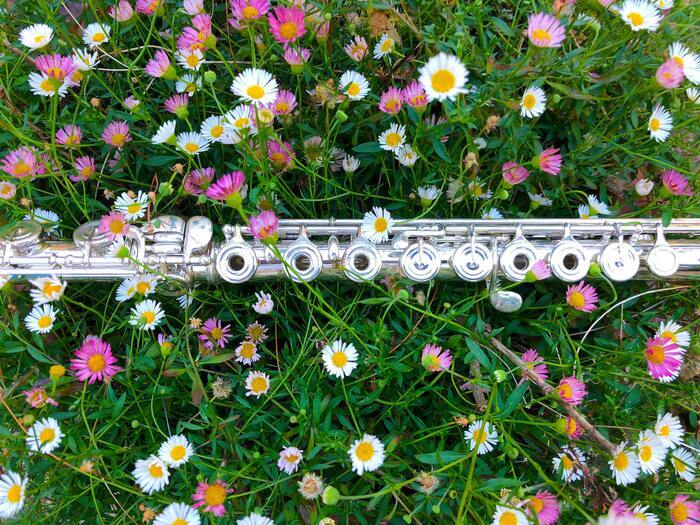 Concert classique en plein air
