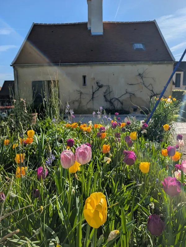 De l'ombre à la lumière