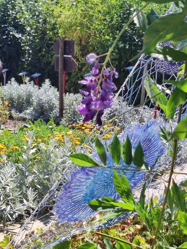 Visite découverte du jardin pédagogique