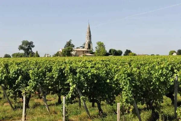Portes ouvertes à Lalande de Pomerol