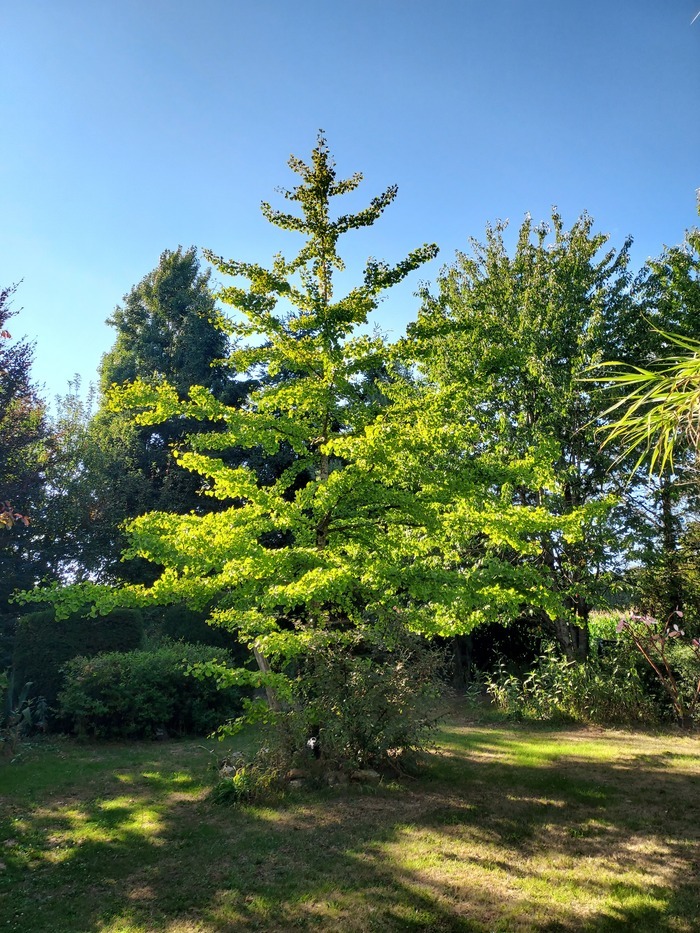 jardin d'artiste