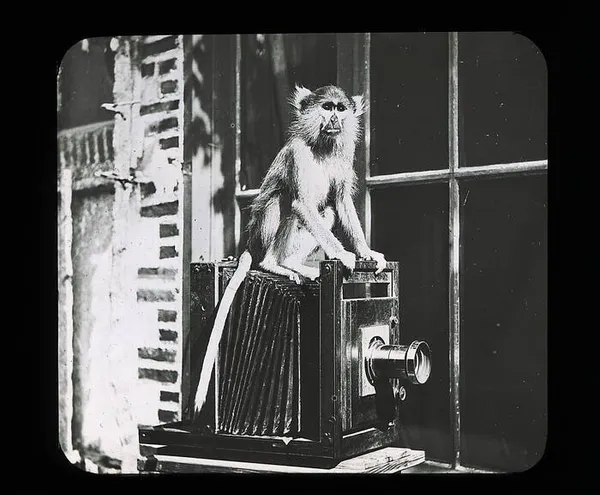 La Co-élaboration artistique des Archives : une œuvre photographique collective, participative et citoyenne.
