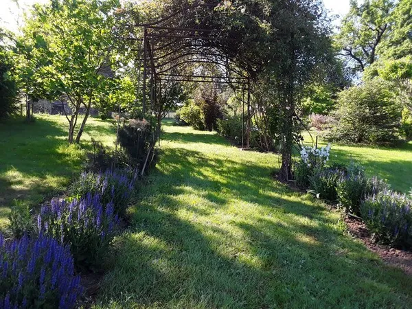 Visite libre du jardin des plantes