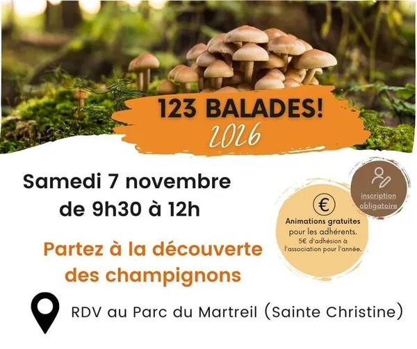 Partez à la découverte des champignons