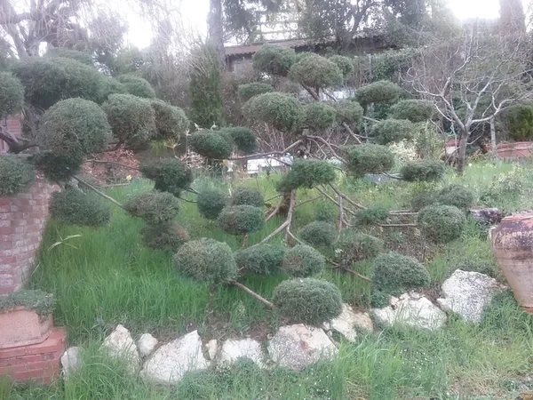 Visite commentée du Jardin "La Pricôte"