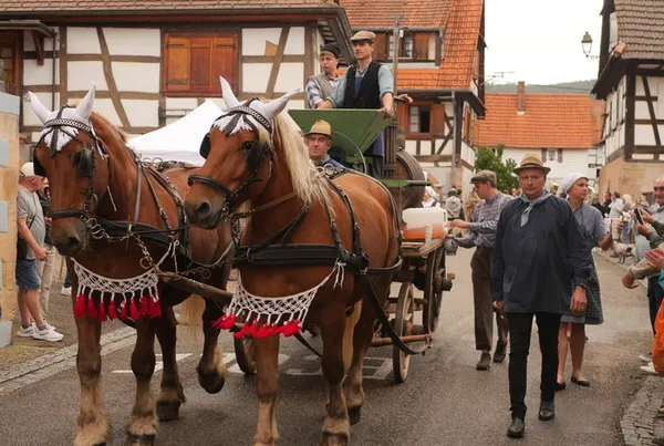 Les Vendanges d'antan au sein des journées du patrimoine européen