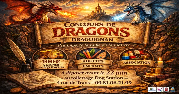 Concours de dragons