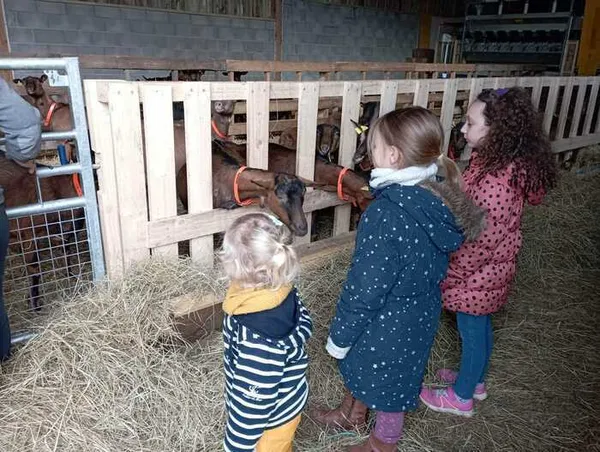 Escapades: Découverte des animaux au Ranch du Pont Urgin