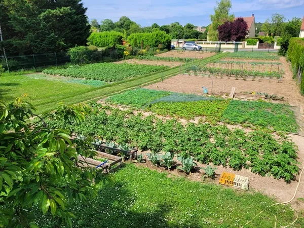 Visite d'un potager bio