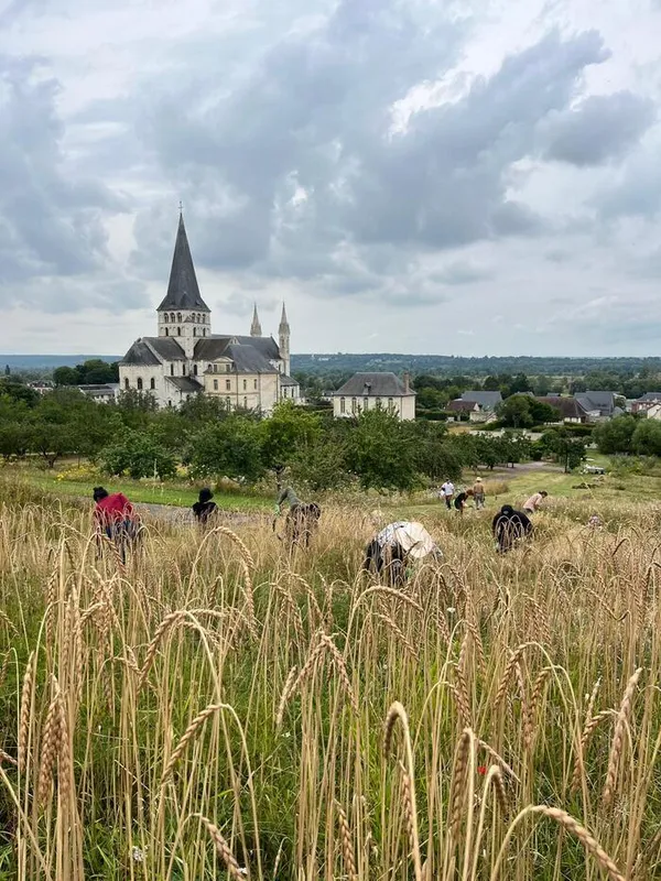 Conférence sur les céréales anciennes dans les Jardins de l'abbaye