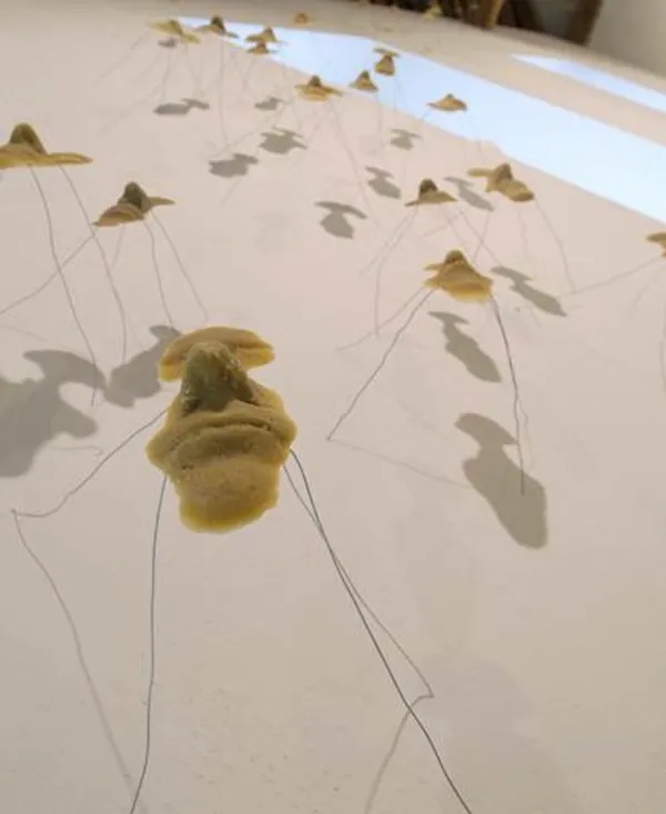 Ateliers « Bébêtes du jardin »
