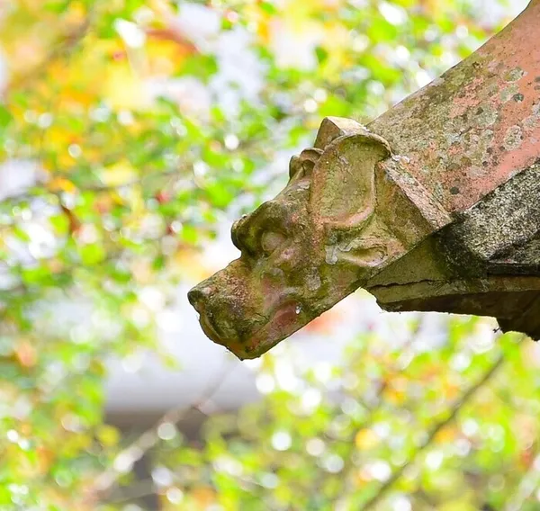 Découverte d'un jardin, trésor de la Belle Epoque en centre ville de Vendôme