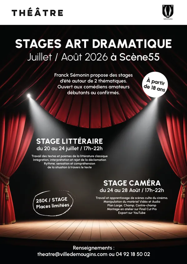 Stage d'art Dramatique