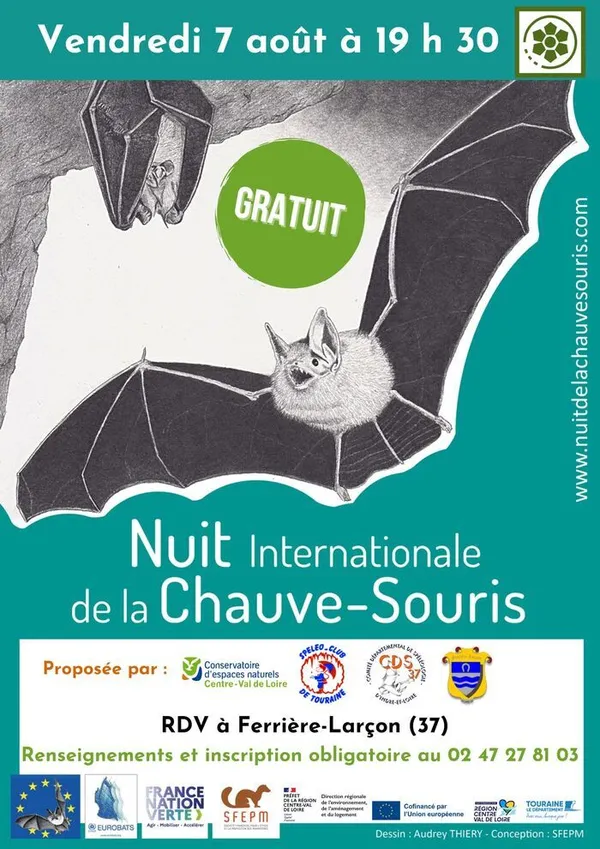 Les mammifères de la nuit