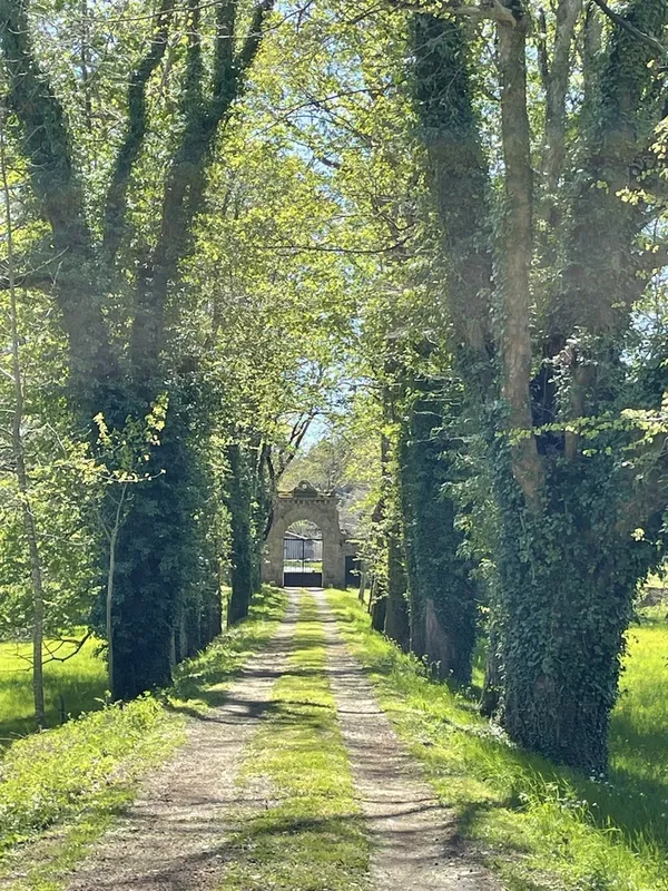 Visites commentées : Histoire de Figon et de son parc
