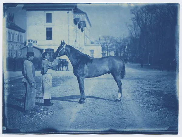 Atelier cyanotype "De l'archive à l'artiste: la photographie"