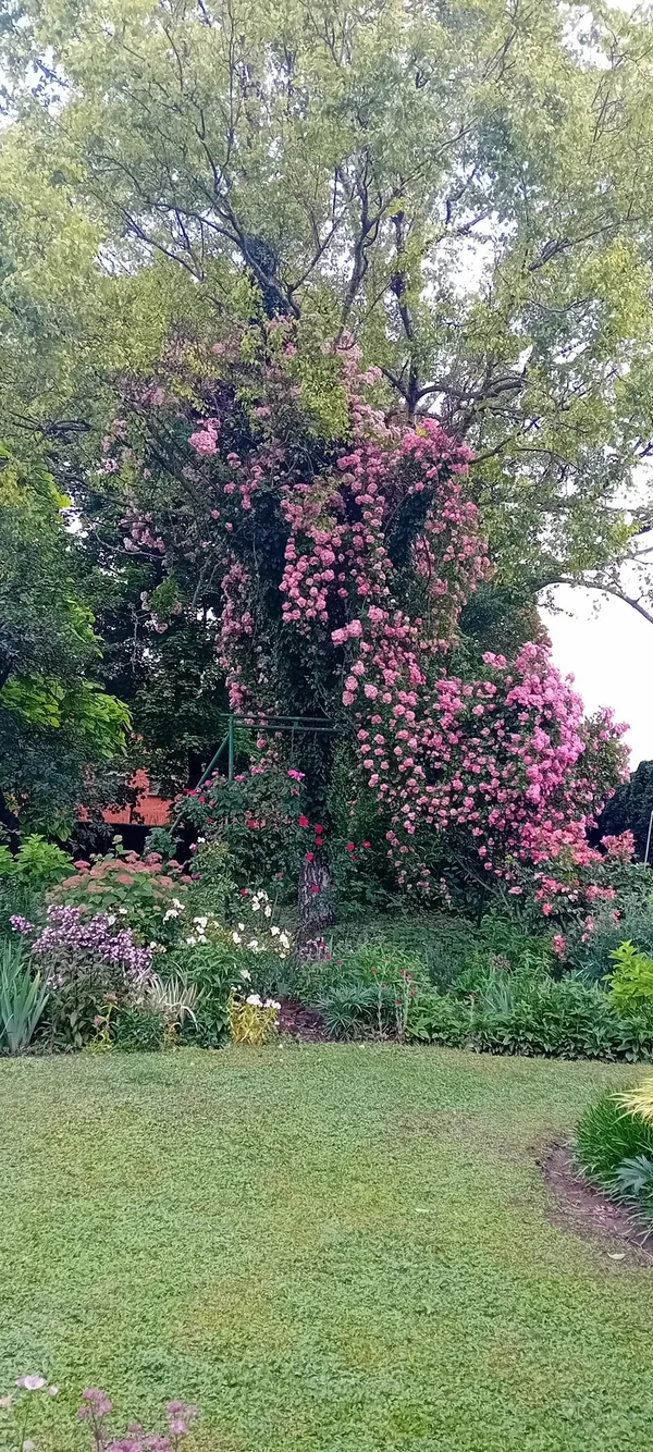 Balade au jardin