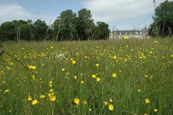 Visite découverte du Parc du Château de Bogard