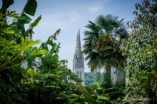 Un voyage au jardin tropical de La Retraite