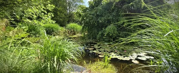Visite du Jardin Botanique Lepage 'Bord de Mer'